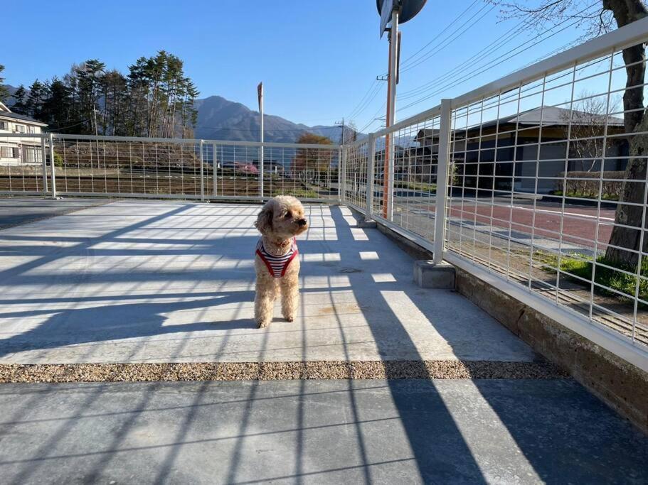 Mt. Fuji Kokoワンちゃんokの新築貸別荘 Fujikawaguchiko Exterior photo