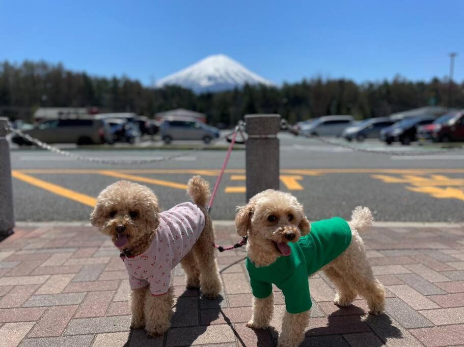 Mt. Fuji Kokoワンちゃんokの新築貸別荘 Fujikawaguchiko Exterior photo